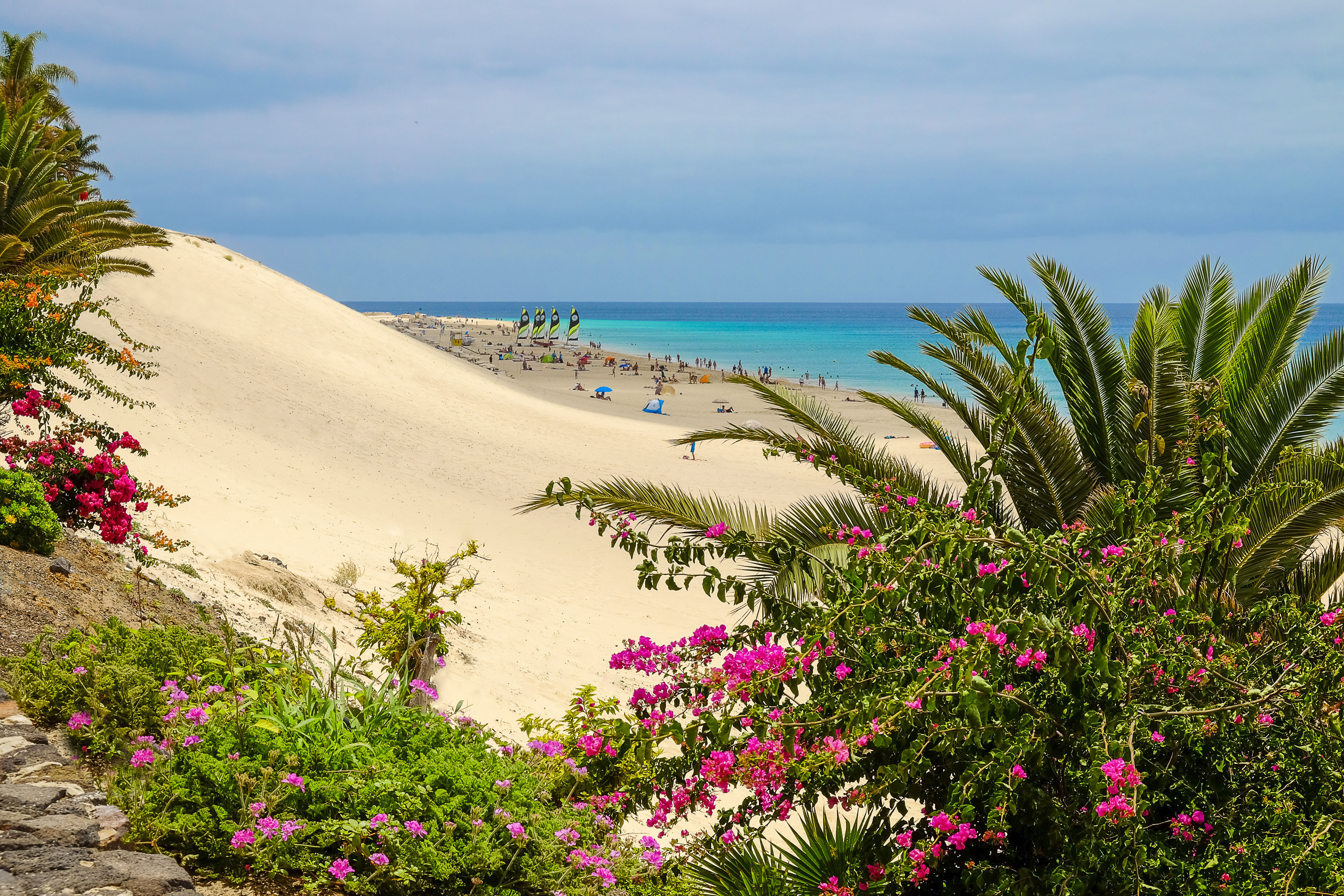 fuerteventura